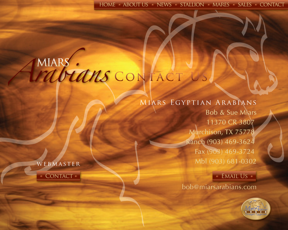 Miars Egyptian Arabians, Bob & Sue Miars, 11370 CR 3807 Murchison, TX 75778, Ranch (903) 469-3624, Fax (903) 469-3724, Mbl (903) 681-0302