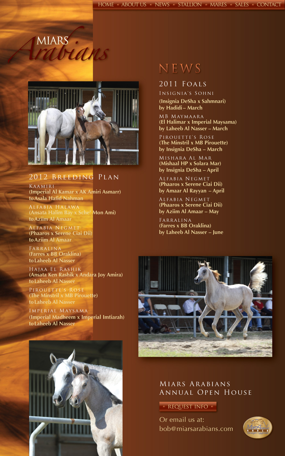 Miars Arabians News 2011 Foals - 2012 Breeding Plans - Miars Arabians Annual Open House
