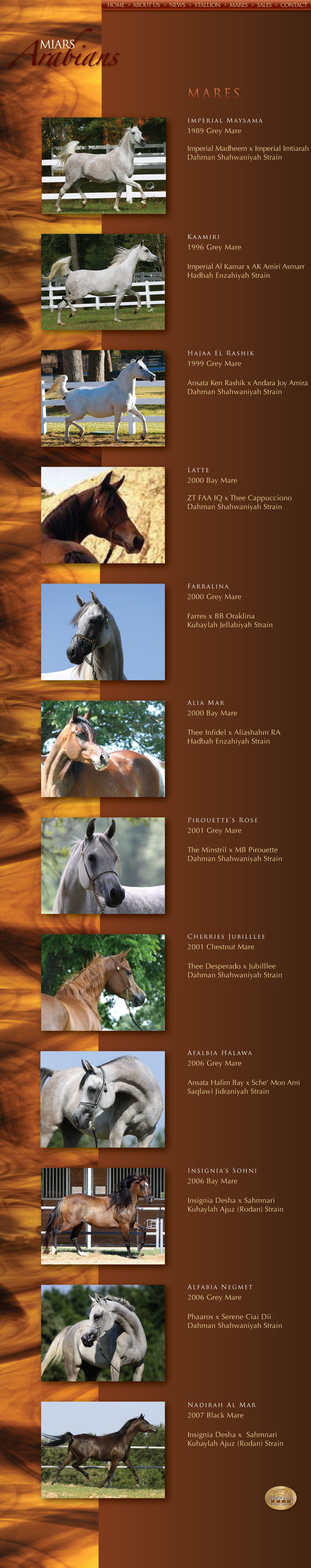 Miars Arabians Mares