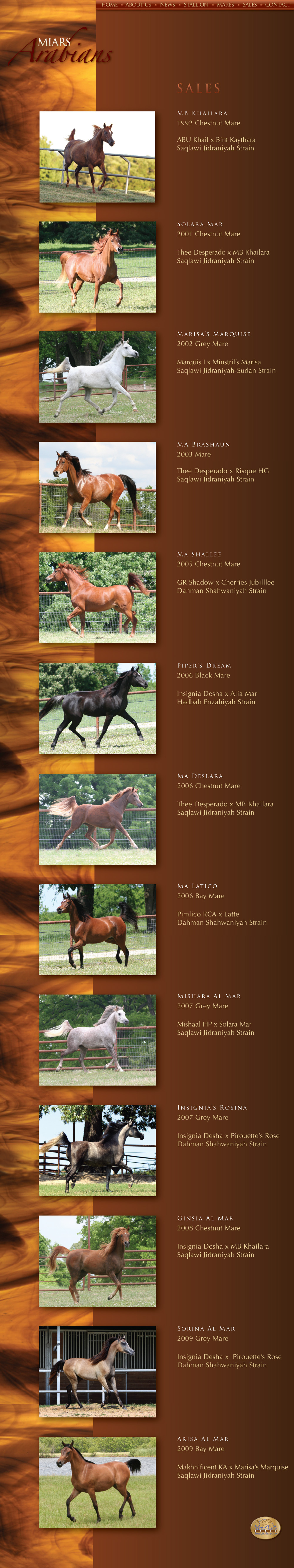 Miars Arabians Horses For Sale